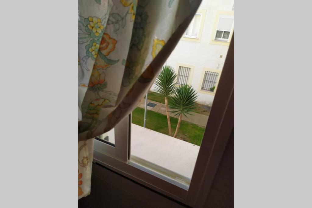 로타 Acogedor Apartamento A 100 M. De Pinares Y Playa 아파트 외부 사진