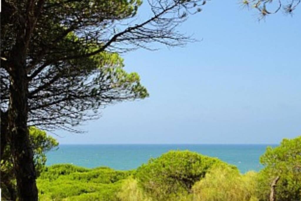 로타 Acogedor Apartamento A 100 M. De Pinares Y Playa 아파트 외부 사진