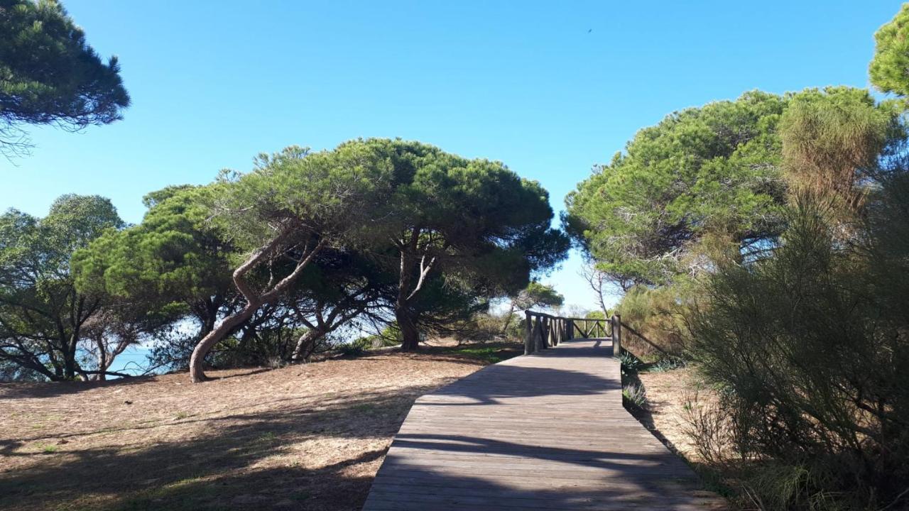 로타 Acogedor Apartamento A 100 M. De Pinares Y Playa 아파트 외부 사진