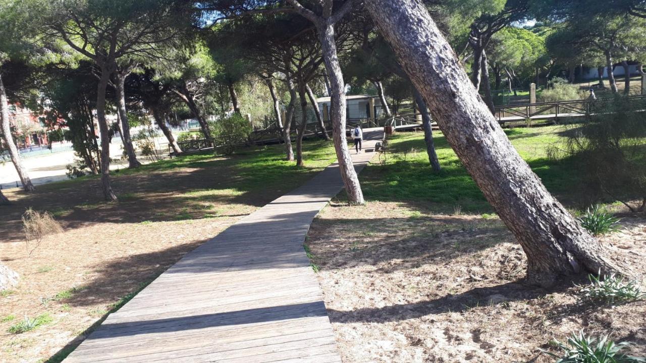로타 Acogedor Apartamento A 100 M. De Pinares Y Playa 아파트 외부 사진